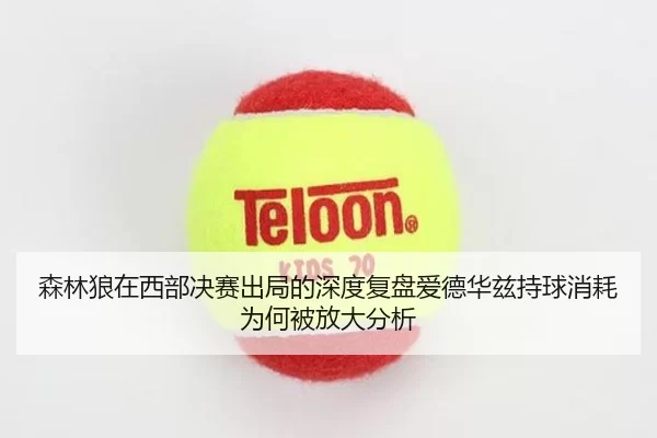 森林狼在西部决赛出局的深度复盘爱德华兹持球消耗为何被放大分析